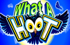 What a Hoot